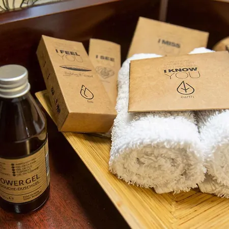 酒店 Mercure Frankfurt Airport 4*